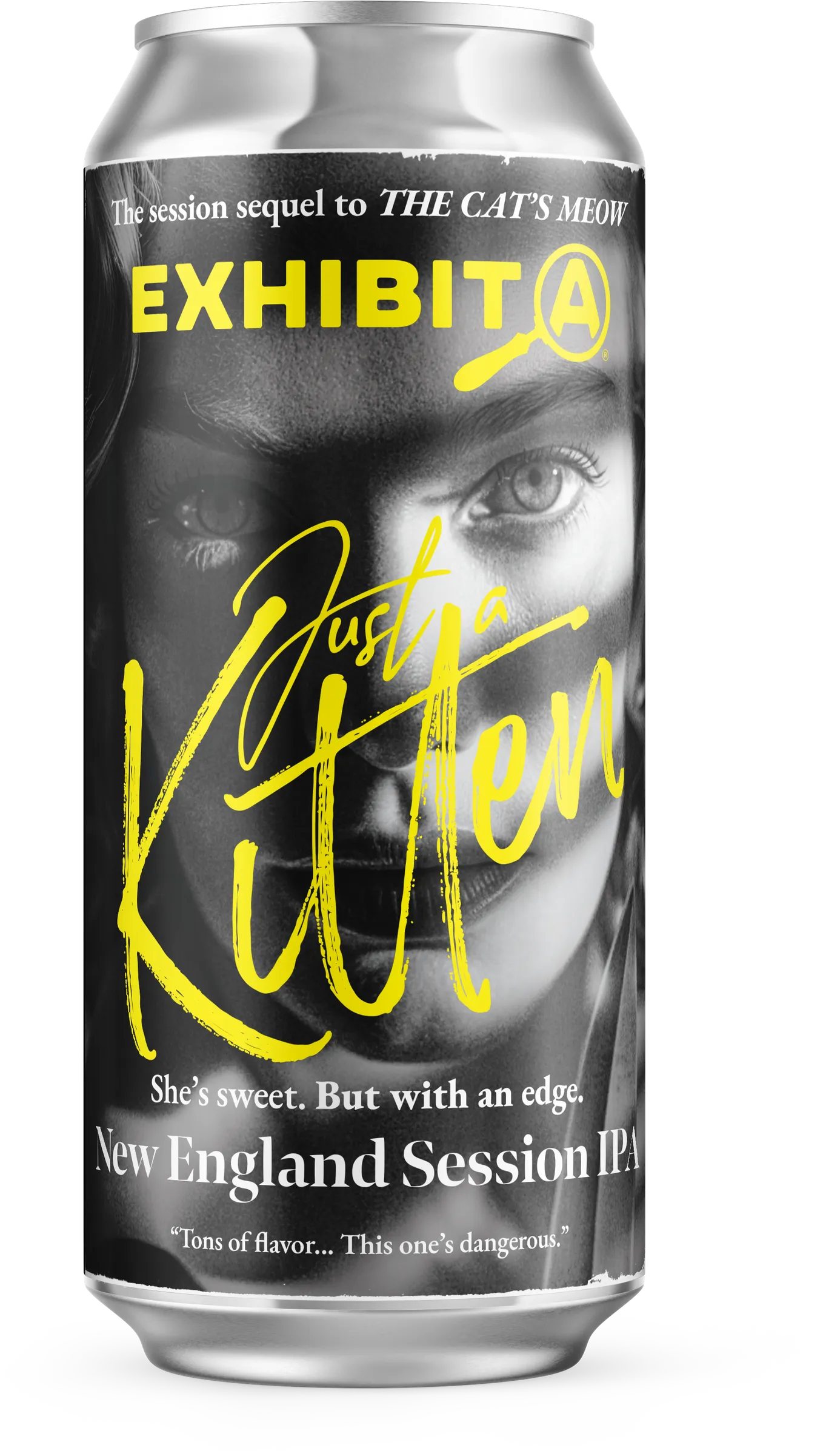 Just a Kitten